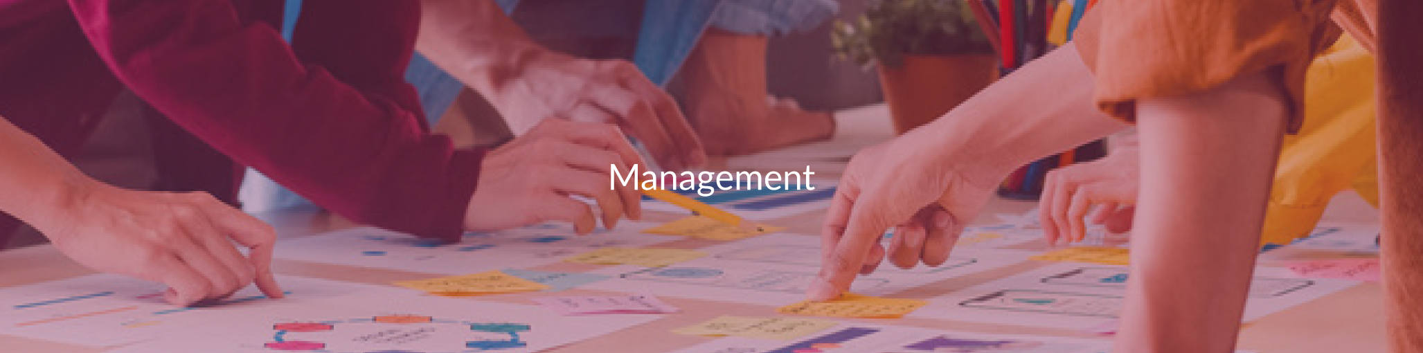 Management