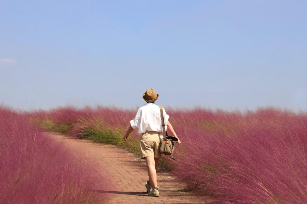 Une personne portant un chapeau et des vêtements décontractés marche le long d'un chemin en briques entouré de hautes herbes roses sous un ciel bleu clair.